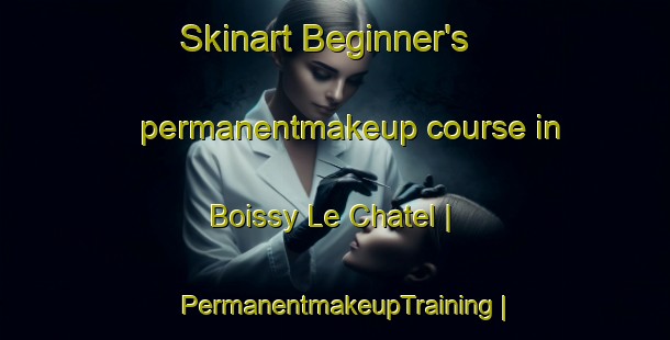 Skinart Beginner's permanentmakeup course in Boissy Le Chatel | PermanentmakeupTraining | PermanentmakeupClasses | SkinartTraining-France